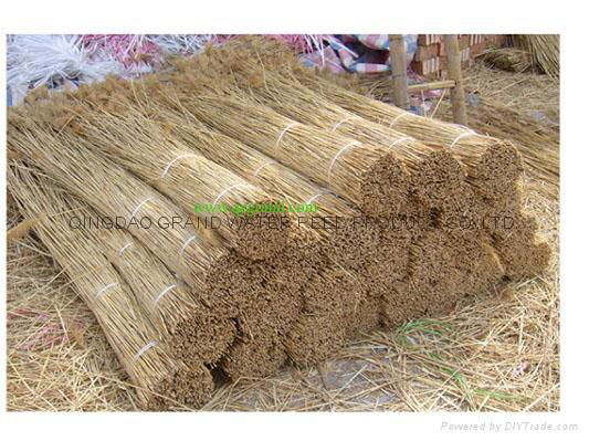 Quality reed bundles 2