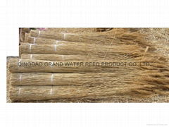 thatch roof reed 