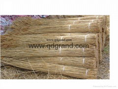 thatch roofing reed