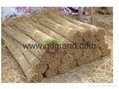 supply thatching roof reed