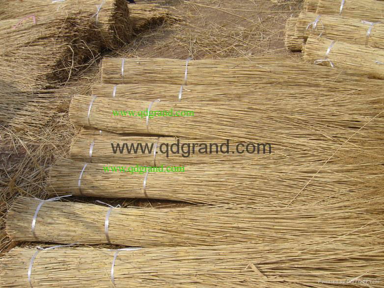 supply thatching roof reed 2