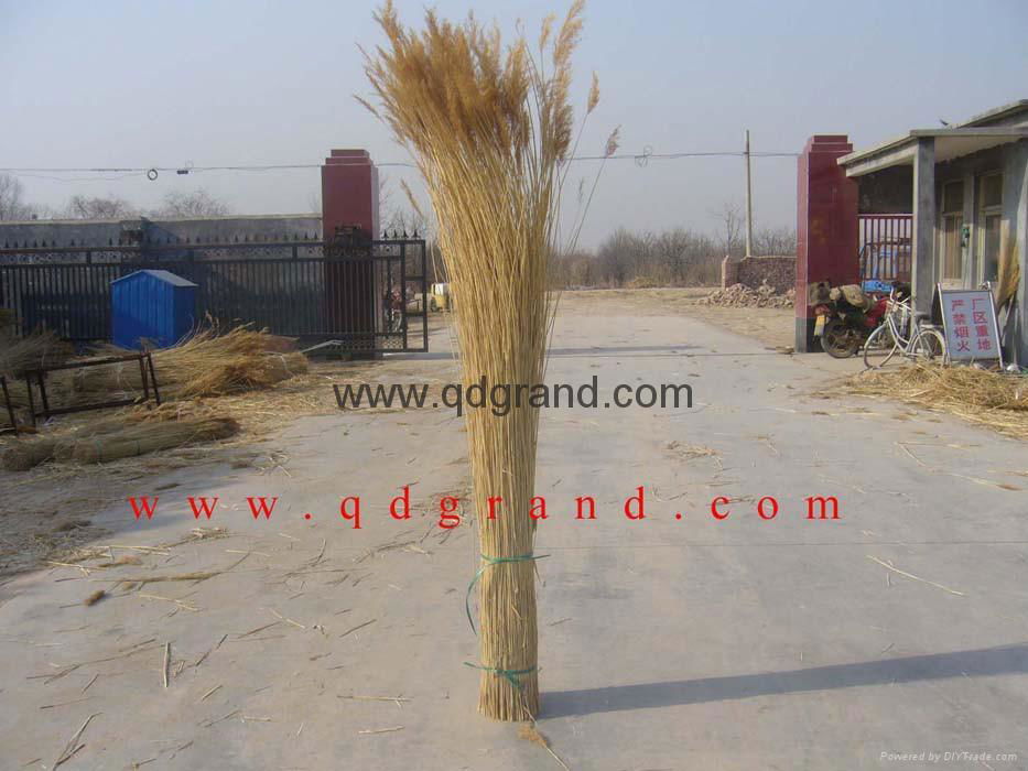 supply thatching roof reed 3