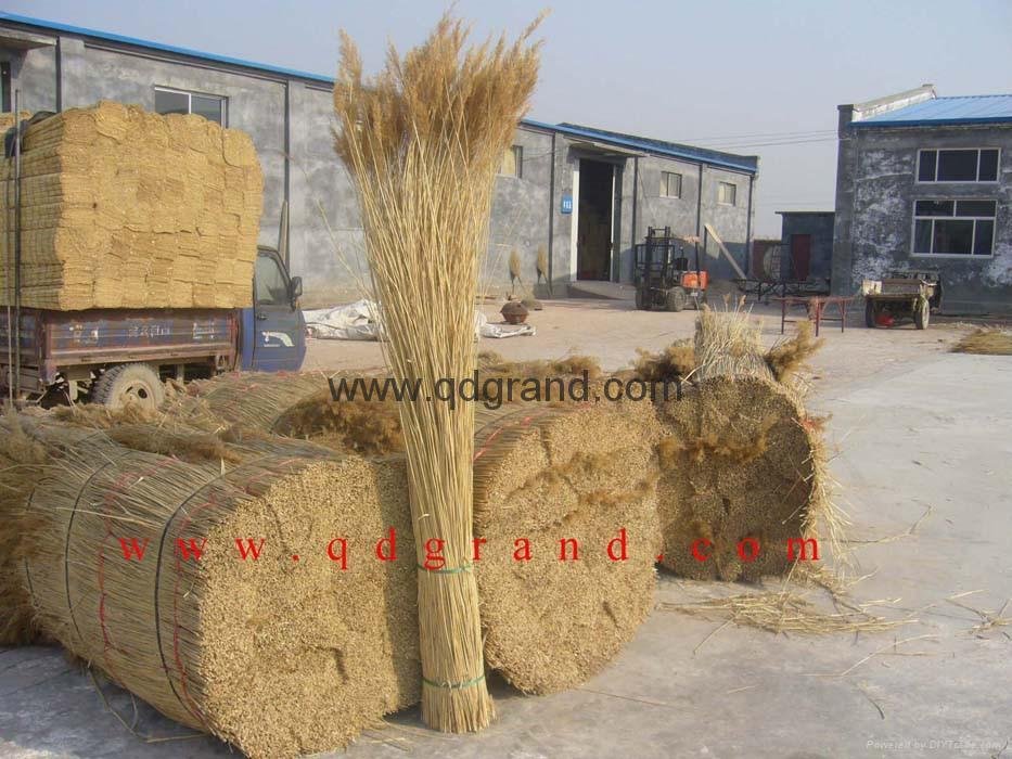 supply thatching roof reed 4