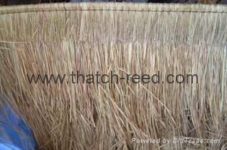 Quality reed bundles 5