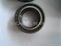 SL Cylindrical roller bearings