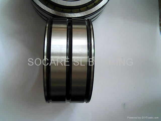 SL Cylindrical roller bearings  3