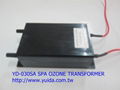 Sterilize High Voltage transformer 1