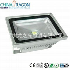 LED Floodlight