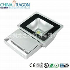 LED Flood Light