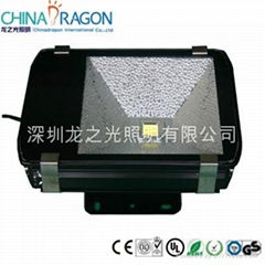 LED Flood Lights