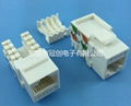 CAT5E超5類網絡RJ45模塊 2