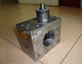 熱熔膠泵 1