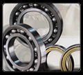 Double row deep groove ball bearing