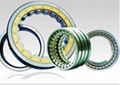 Cylindrical roller bearing