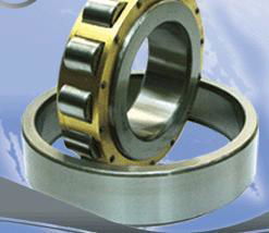 Cylindrical roller bearing 2