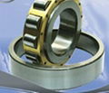 Cylindrical roller bearing