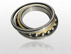 Four point contact ball bearing