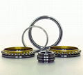 Four point contact ball bearing