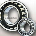 TWB bearing 2