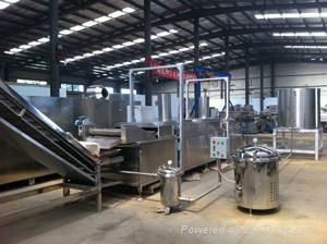 Automatic continuous fryer