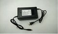 Electric Golf Vehicles Battery Charger Customized