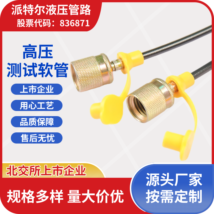 派特尔高压测试管