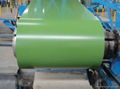 prepainted galvanized steel coil 1