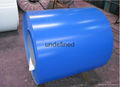  PPGL steel coil 