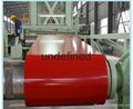  PPGL steel coil  2