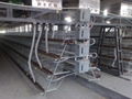 Poultry Cage 5