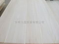 FSC Paulownia edge glued  panel 