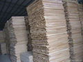 Paulownia bed slat 