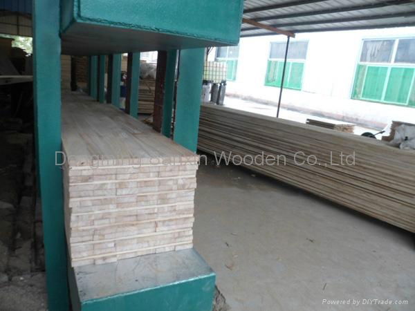 paulownia timber 2