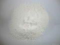 bulk detergent  powder