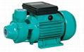 110V/220V QB Series Electric Water Pump for Home Use 2