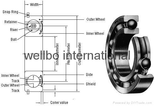 Leading factory of Stainless Steel Ball Bearings 4