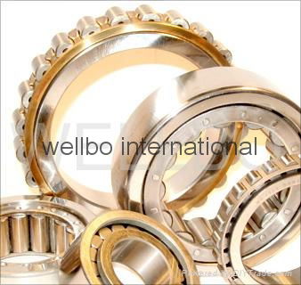  sell Cylindrical Roller Bearing in good price to US Italy