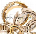  sell Cylindrical Roller Bearing in good price to US Italy 1