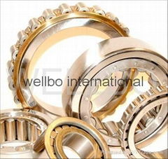 sell Cylindrical Roller Bearing in good price to US Italy