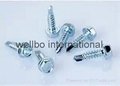 Wood Screw DIN7997 competitive price  for Bulk Order 4