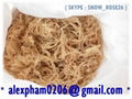 Eucheuma Cottonii Seaweed 2