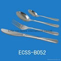 Stainless steel spoon