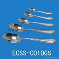 Stainlesss steel spoon