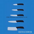 knife set 