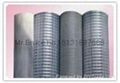 1/2*1/2welded wire mesh 2