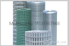 1/2*1/2welded wire mesh 3