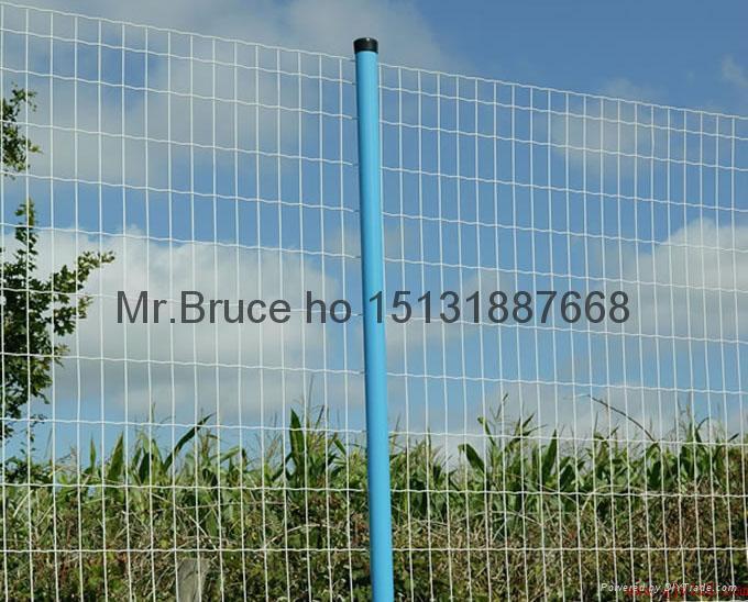 wire mesh fence 3