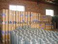 Galvanized Welded Wire Mesh