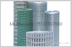 Galvanized Welded Wire Mesh 2