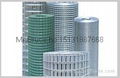 Galvanized Welded Wire Mesh 2